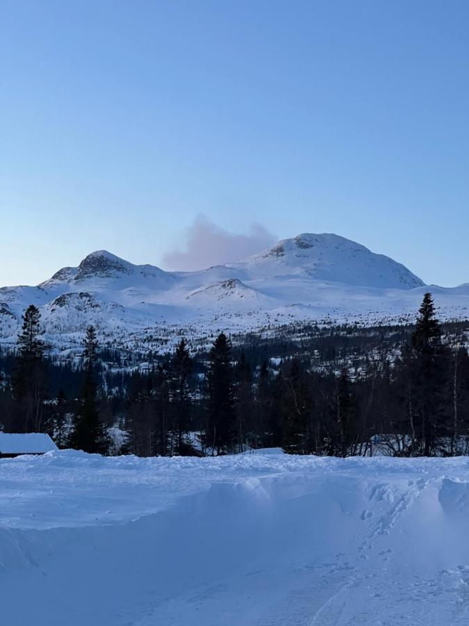 Brand New Cabin On The Sunny Side Of Gaustatoppen With A Beautiful View Ferienhaus Tuddal