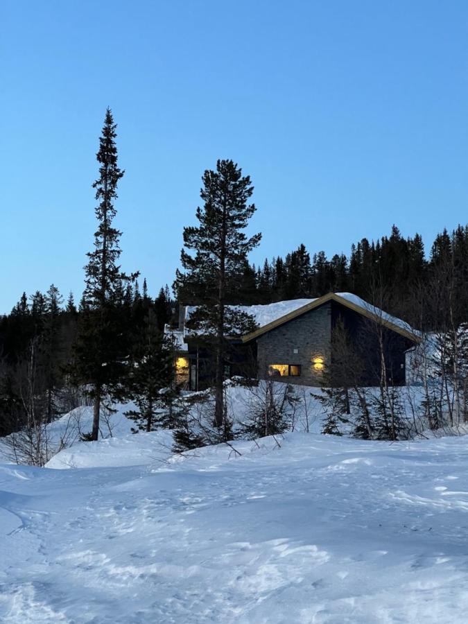 Brand New Cabin On The Sunny Side Of Gaustatoppen With A Beautiful View Ferienhaus Tuddal