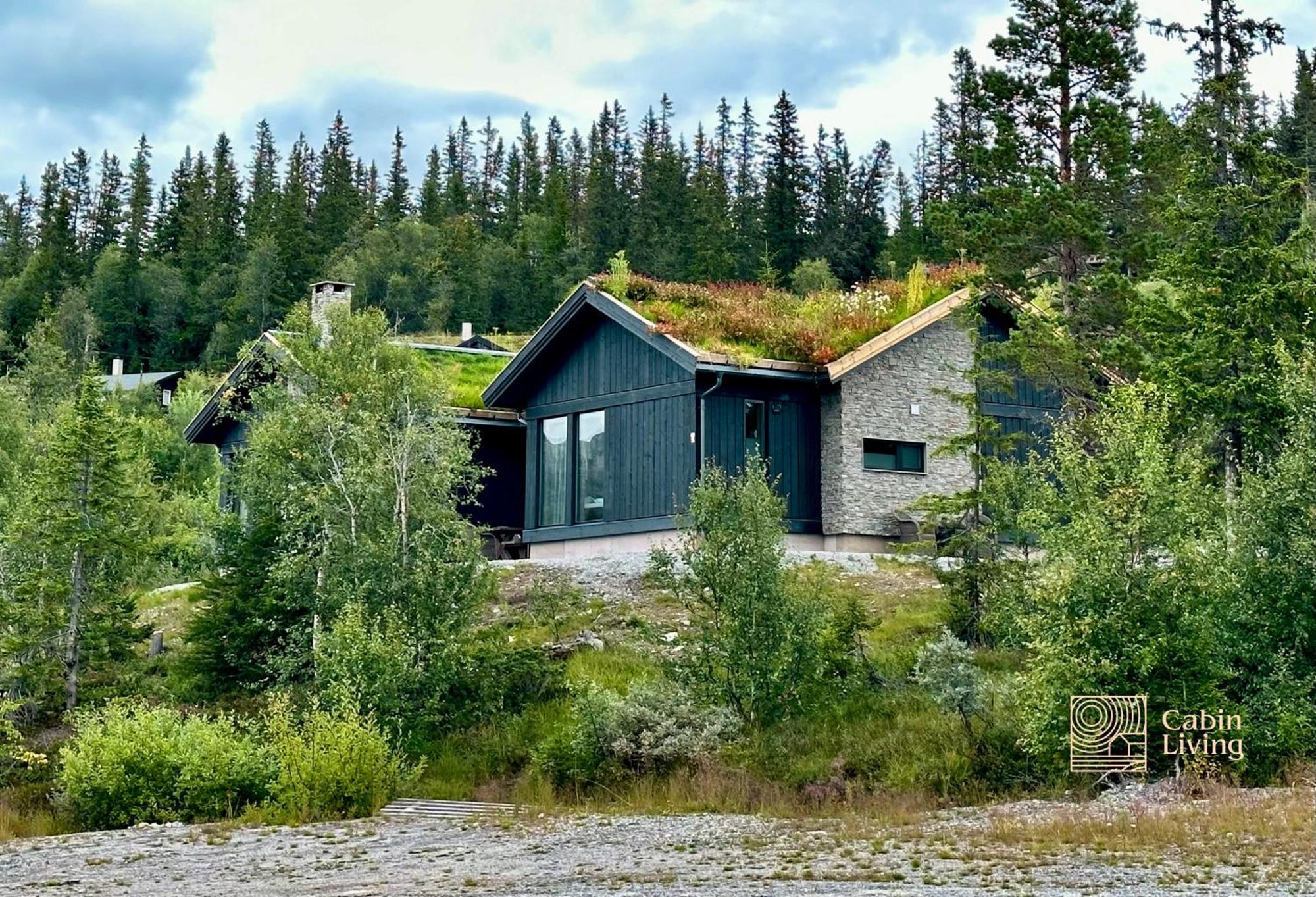 Brand New Cabin On The Sunny Side Of Gaustatoppen With A Beautiful View